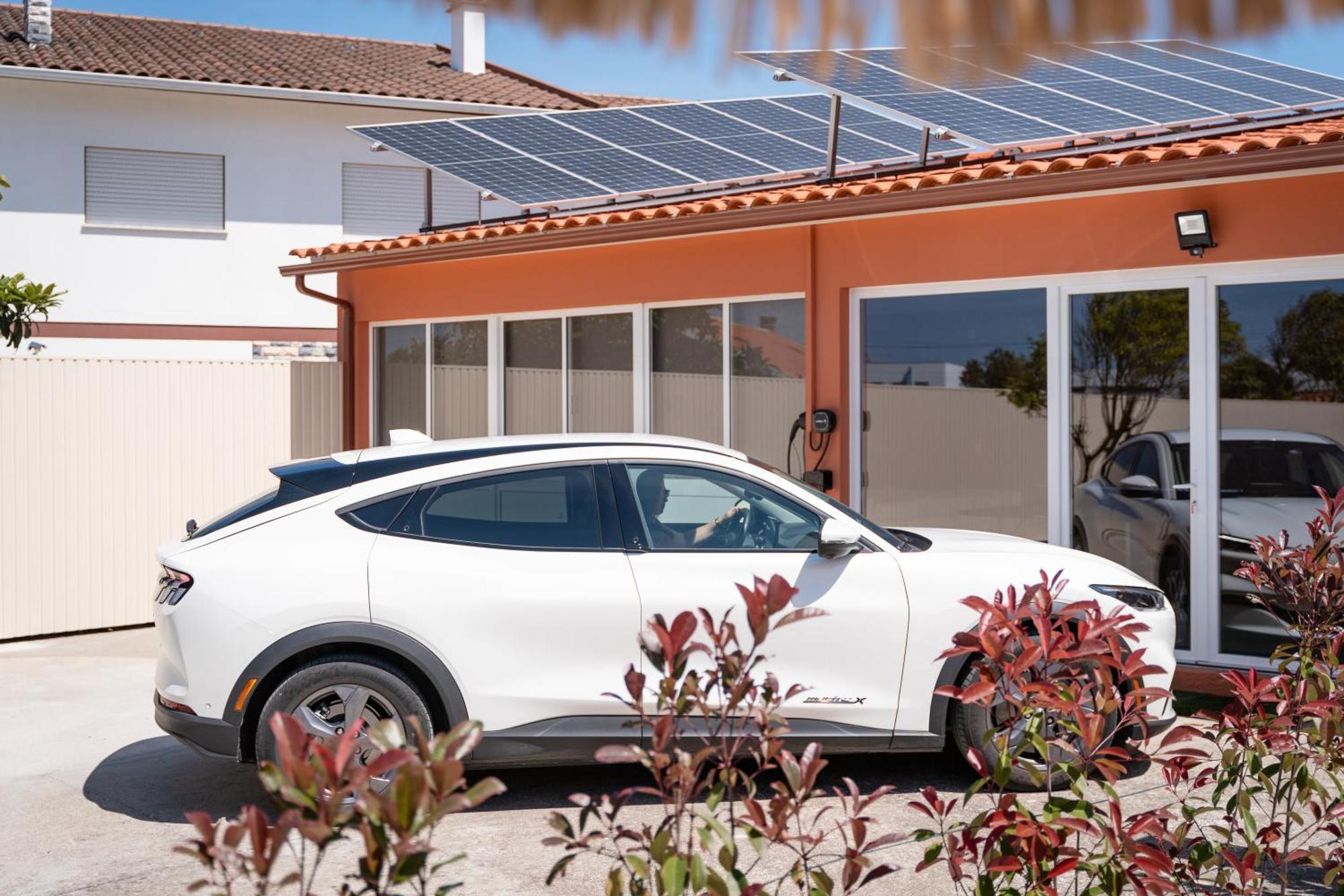 Magnolia Luxury Villa Vieira de Leiria Ngoại thất bức ảnh